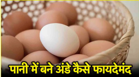 Steamed Eggs: स्वादिष्ट रेसिपी जो सेहत के लिए भी है फायदेमंद